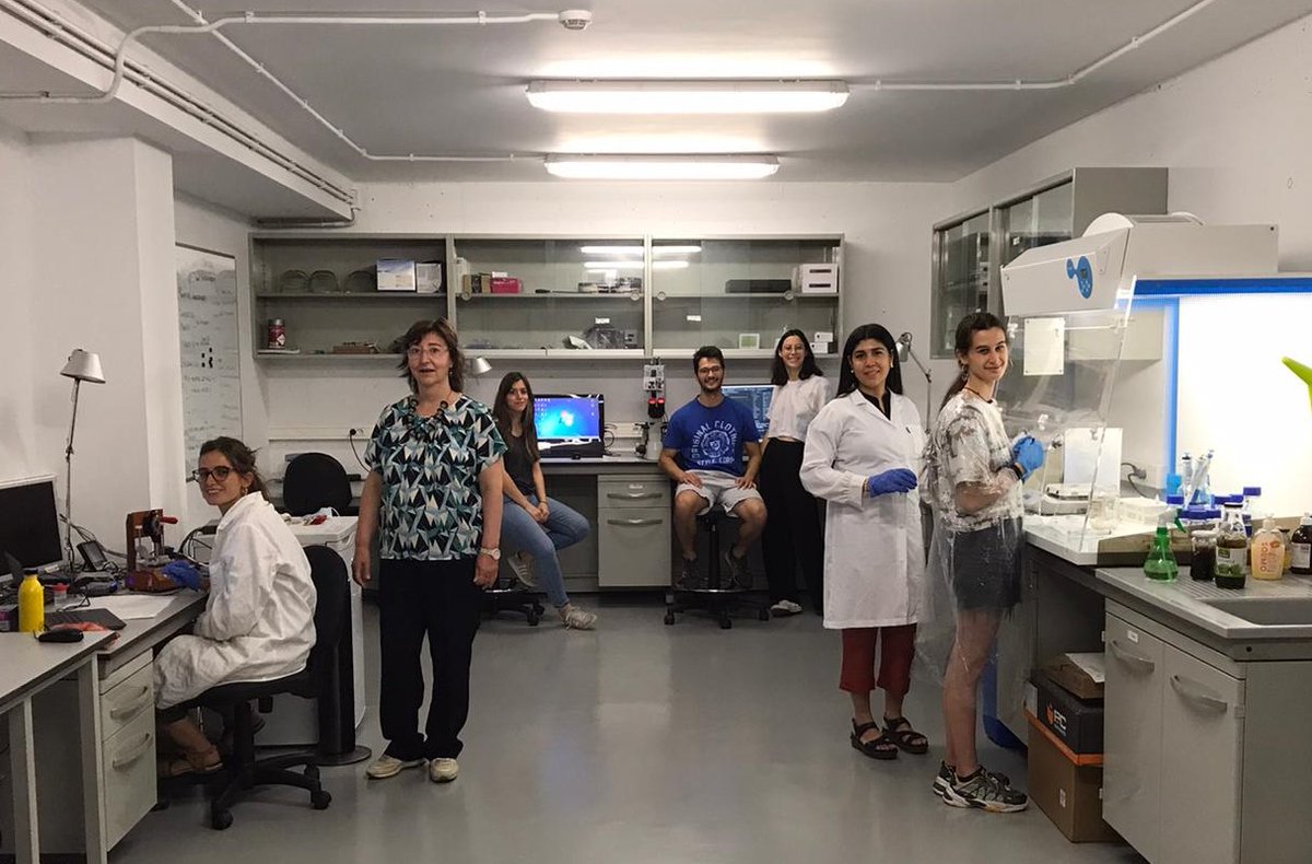 At RheoDx we celebrate all the female talent that we have in our company, without whom the RheoDx project would not be possible.

Today and every day!

February 11th, the International Day of Women and Girls in Science.
#science #womeninscience