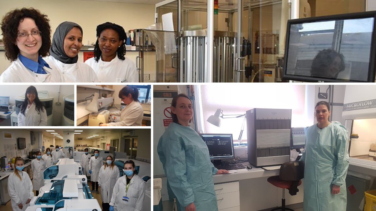 ESHT_Pathology's tweet photo. Today is International Day of Women and Girls in Science. Pathology is just one area of STEM where women excel as Pathology Assistants, Biomedical Scientists, Clinical Scientists and Specialist BMS. @stem4sussex @IBMScience
 #IDWGS2022 #WomenInSTEM #STEM https://t.co/gPhyQ4RUJX https://t.co/nyQzT49wAL