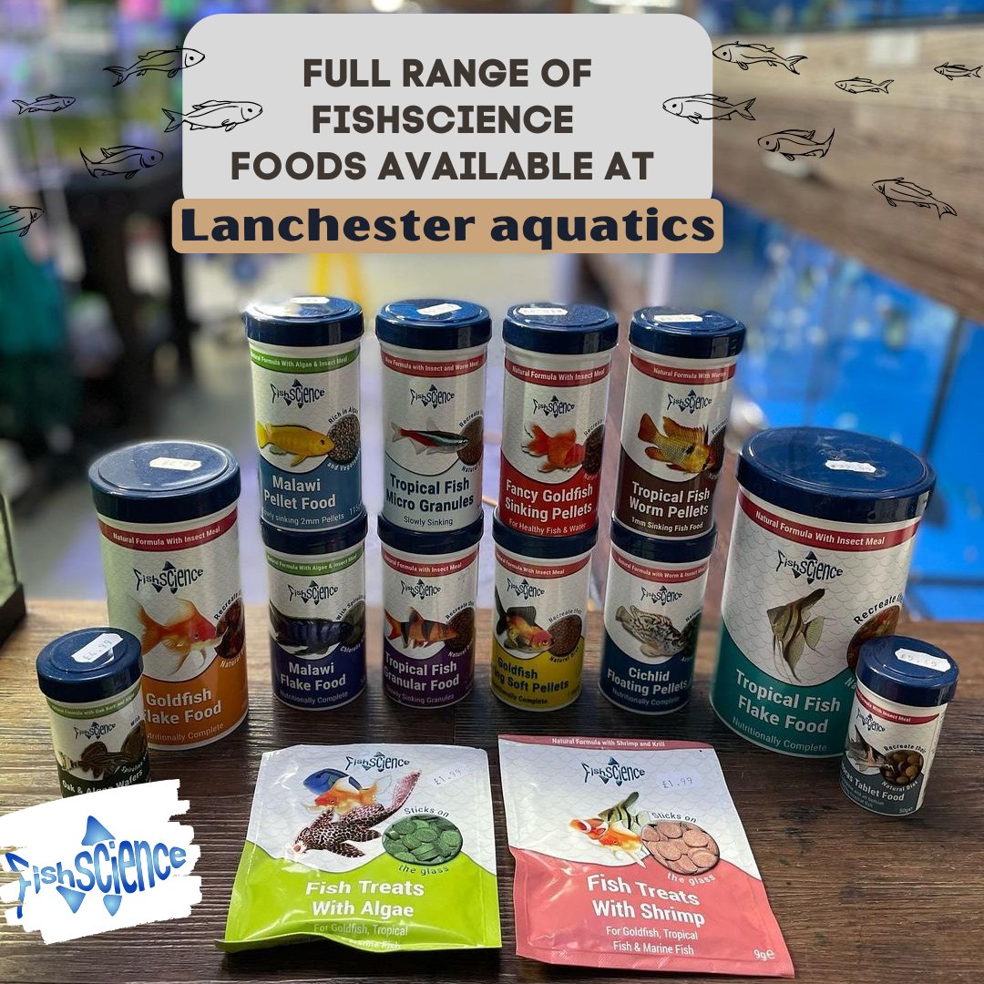 FishScienceLtd's tweet photo. We are delighted to see our full range of FishScience foods available in Lanchester Aquatics. @lanchesteraquatics proudly said, "we are huge fans of the FishScience range. https://t.co/168ilzkiRX