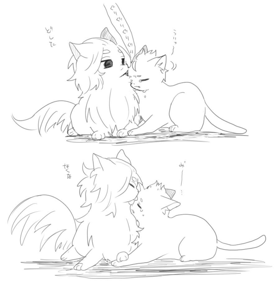 マイ武🐈 