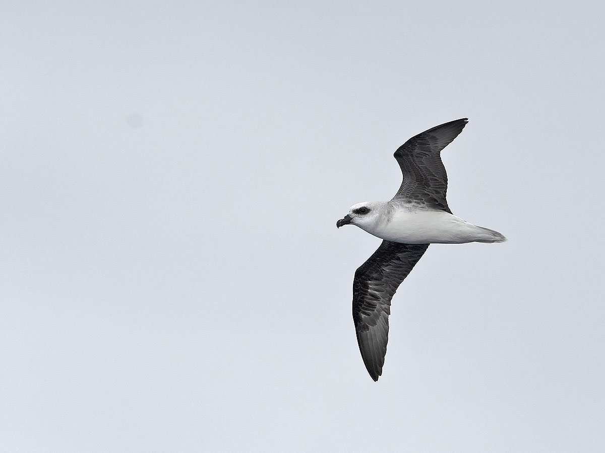 Tim Bawden tweet media