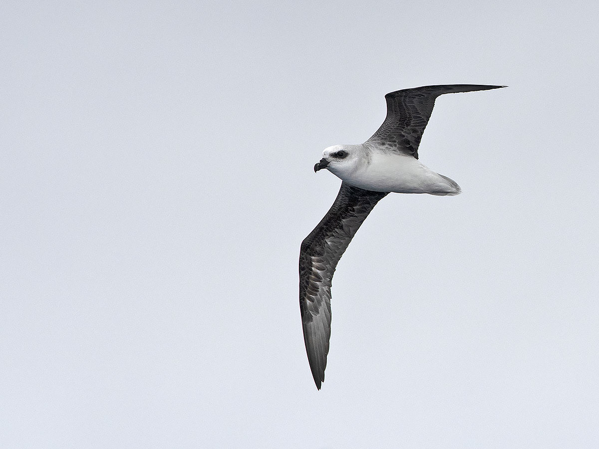 Tim Bawden tweet media