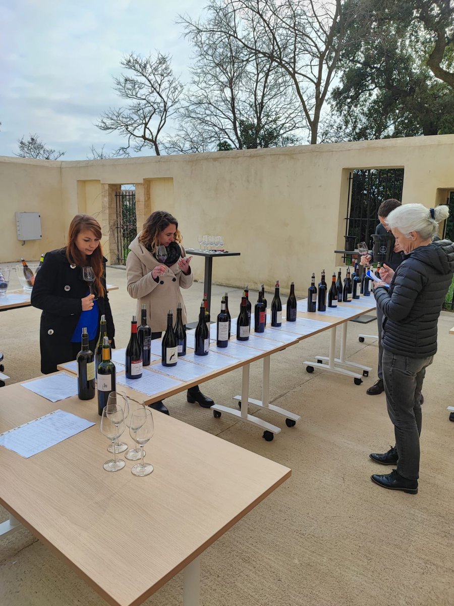 PressHargreaves's tweet image. 🇫🇷👀🍇🍷  Hier, avait lieu la présentation de la nouvelle sélection Virtuoses de l'AOP @SaintChinian  présidée par Andrew Jefford.

À retrouver très bientôt dans la presse ! 

#vinsdulanguedoc #wineselection