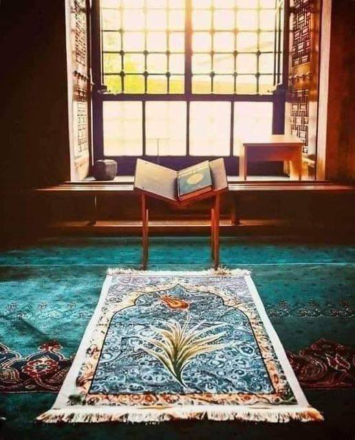 "علمني يا الله
كيف أصبُ الهمَّ في سجدةٍ
كيف أتقي شرَّ جهنَّمَ ولو بشقِّ تمرةٍ
كيف أُواري سوأَةَ قلبي بتوبةٍ صادقةٍ
كيف أسلُك دربًا تُحبه
وأنفَضُّ عن جُموع الهالكين
كيف أُترجم حُبكَ القاطِن بداخلي
إلى عملٍ مُنْتَهَاهُ جَنَّتَكَ"💕