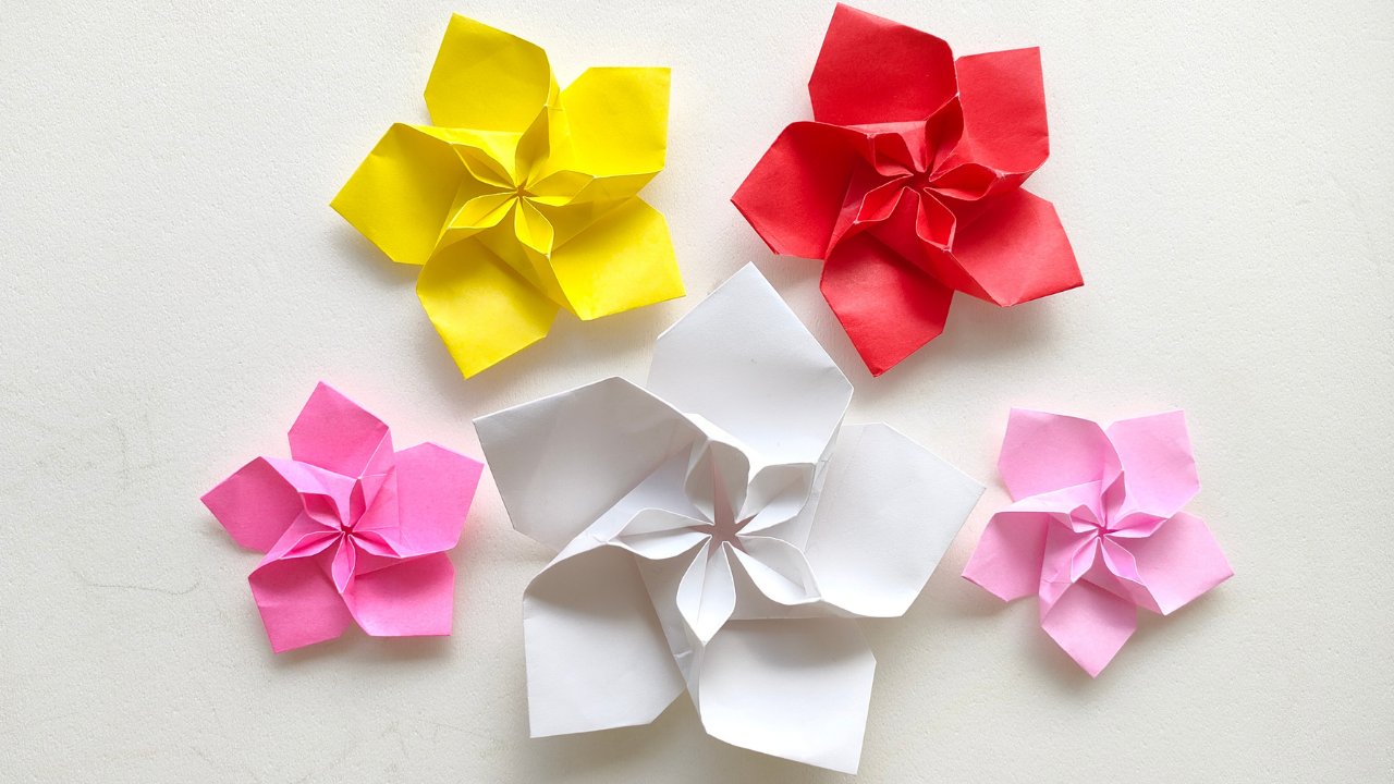 Origami Room おりがみルーム Al Twitter 3月3日ひな祭り 桃の花を折りました 折り紙 おりがみ 桃の花 3月3日 ひな祭り 桃の節句 Origami Peachblossom T Co Iarrjtwqzo T Co Xmujsaympo Twitter