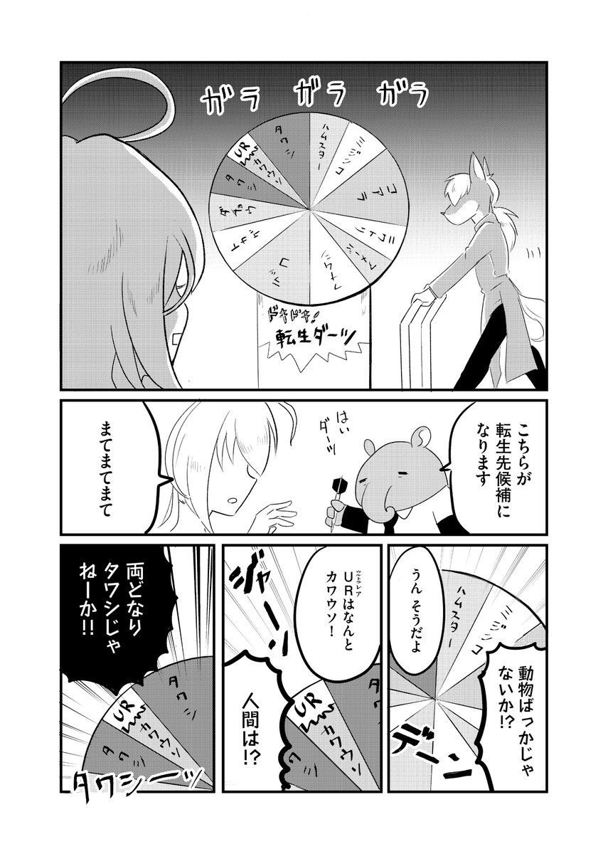(2/8) 