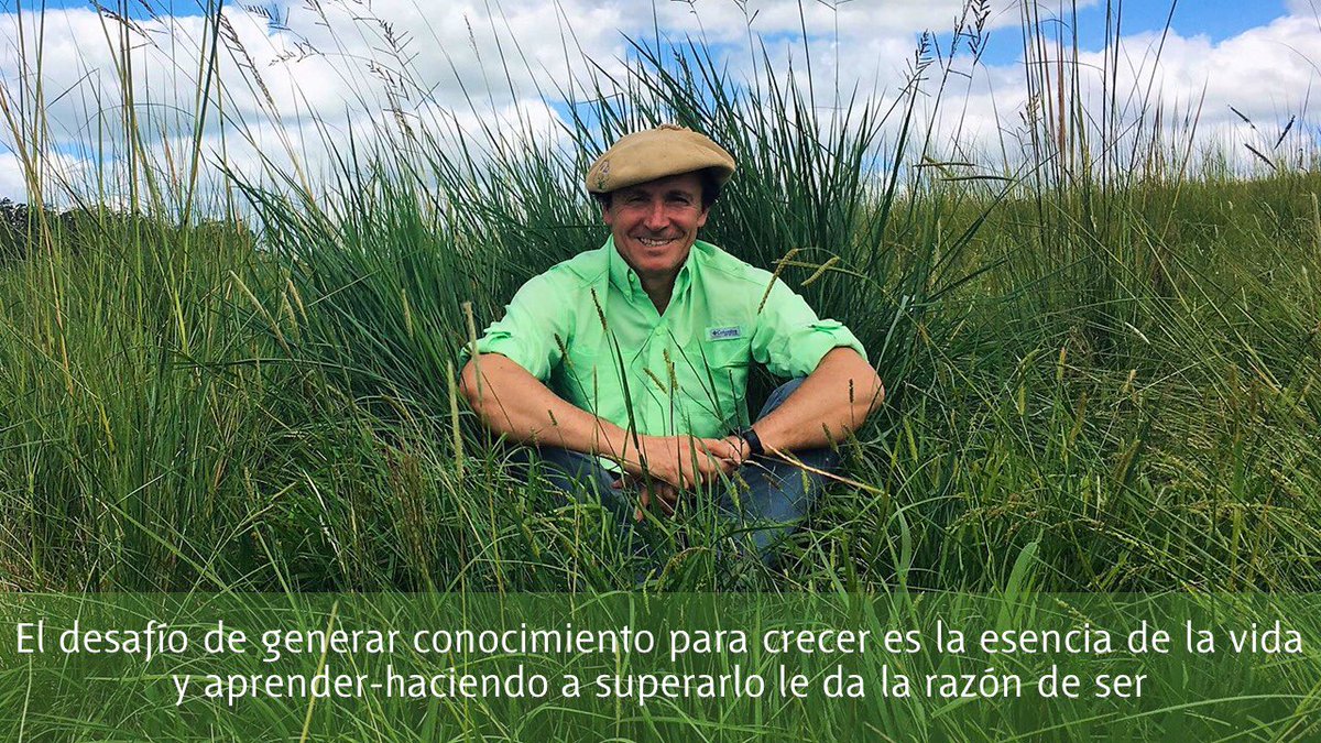 Martin Jaurena tweet media