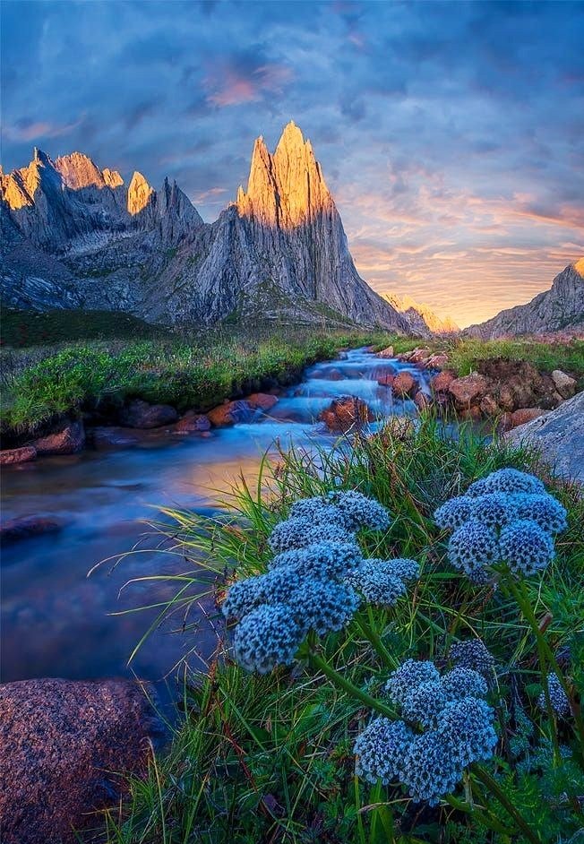 ANGELESBERMEJO1's tweet image. Feliz viernes amigos
Happy Friday friends 💙