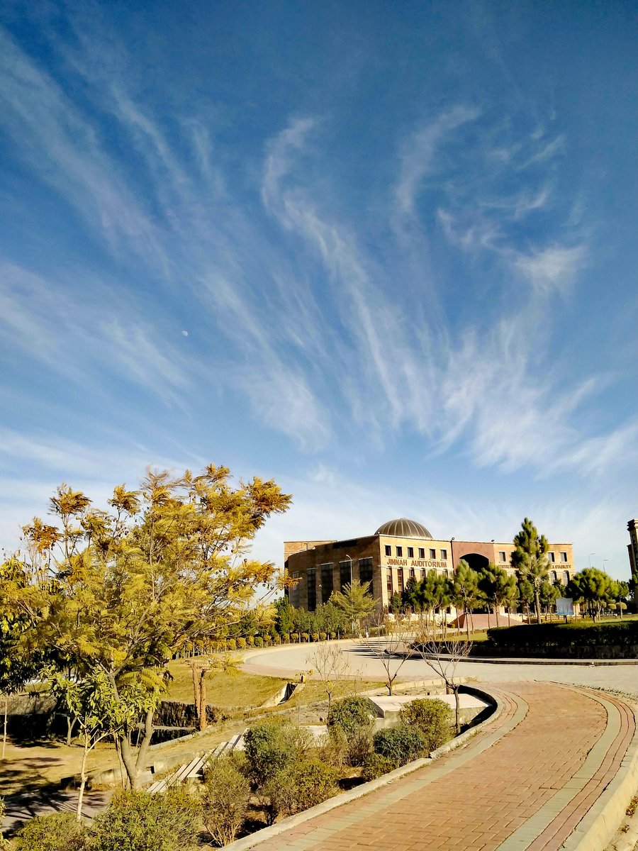 kuekuatsheu tweet media