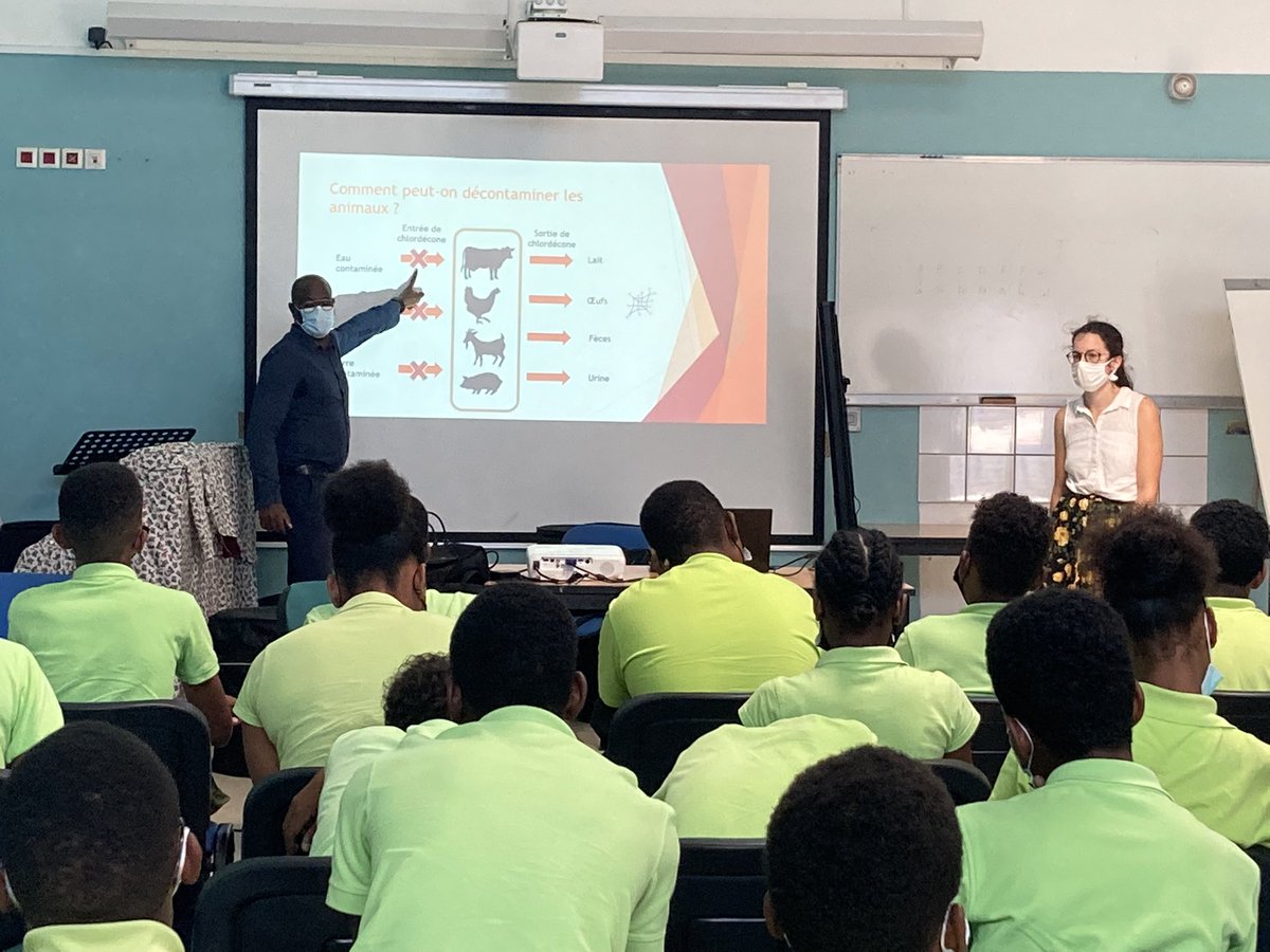 Préparation d’énigmes de l’escape game ce jour sur le contenu de l’intervention de mardi avec M Pelonde et Mme Beugnet du Groupement de Défense Sanitaire de Martinique. #CR3 #semchlordecone972 <a href="/9720861d/">COLLÈGE ROBERT 3 PONTALÉRY</a> <a href="/ScapEdu/">S'CAPE</a>