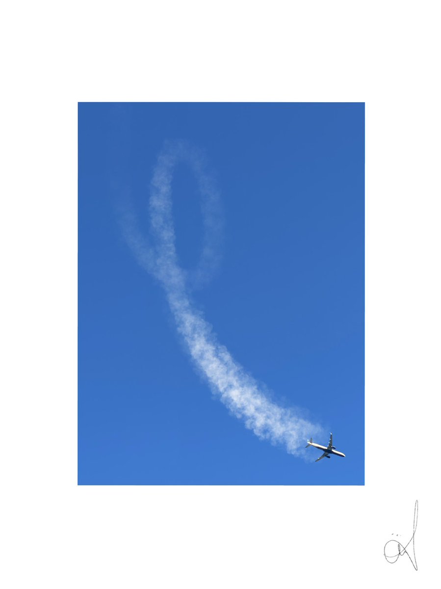 Mr.Trompo (@mistertrompo) on Twitter photo 