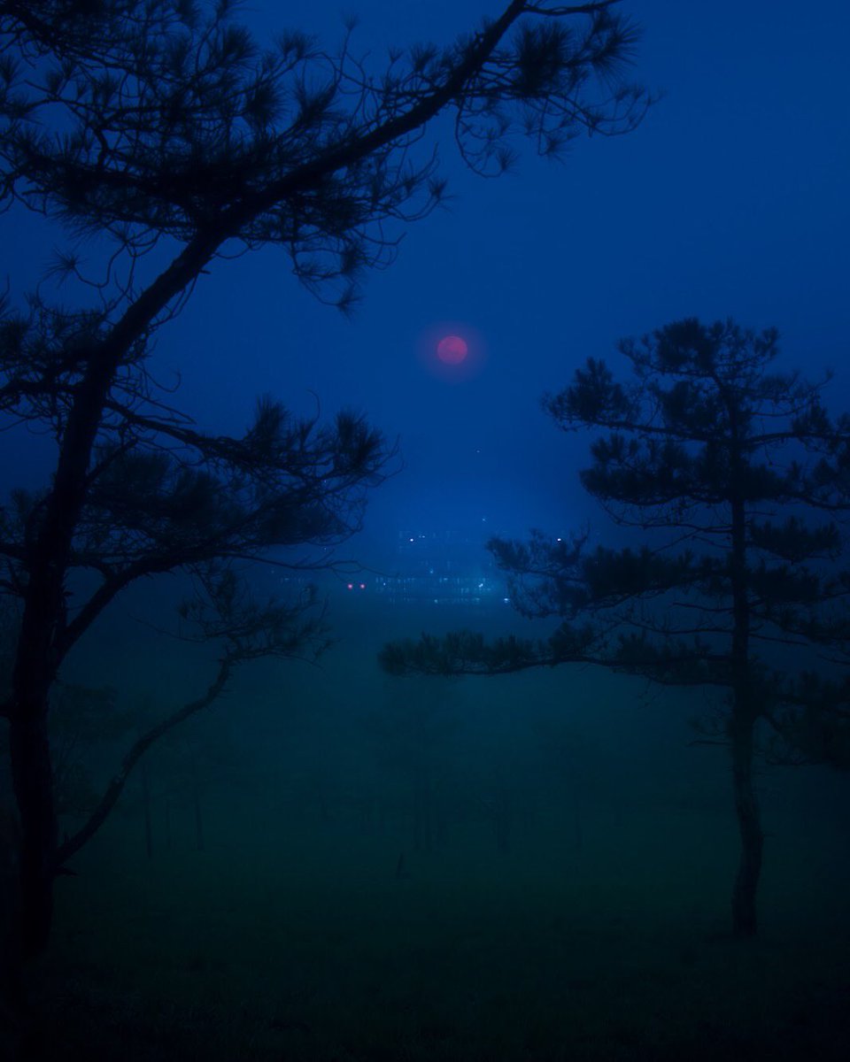 trungbaotr's tweet photo. if souls have colors they would be blue https://t.co/l8DIQrmbJq