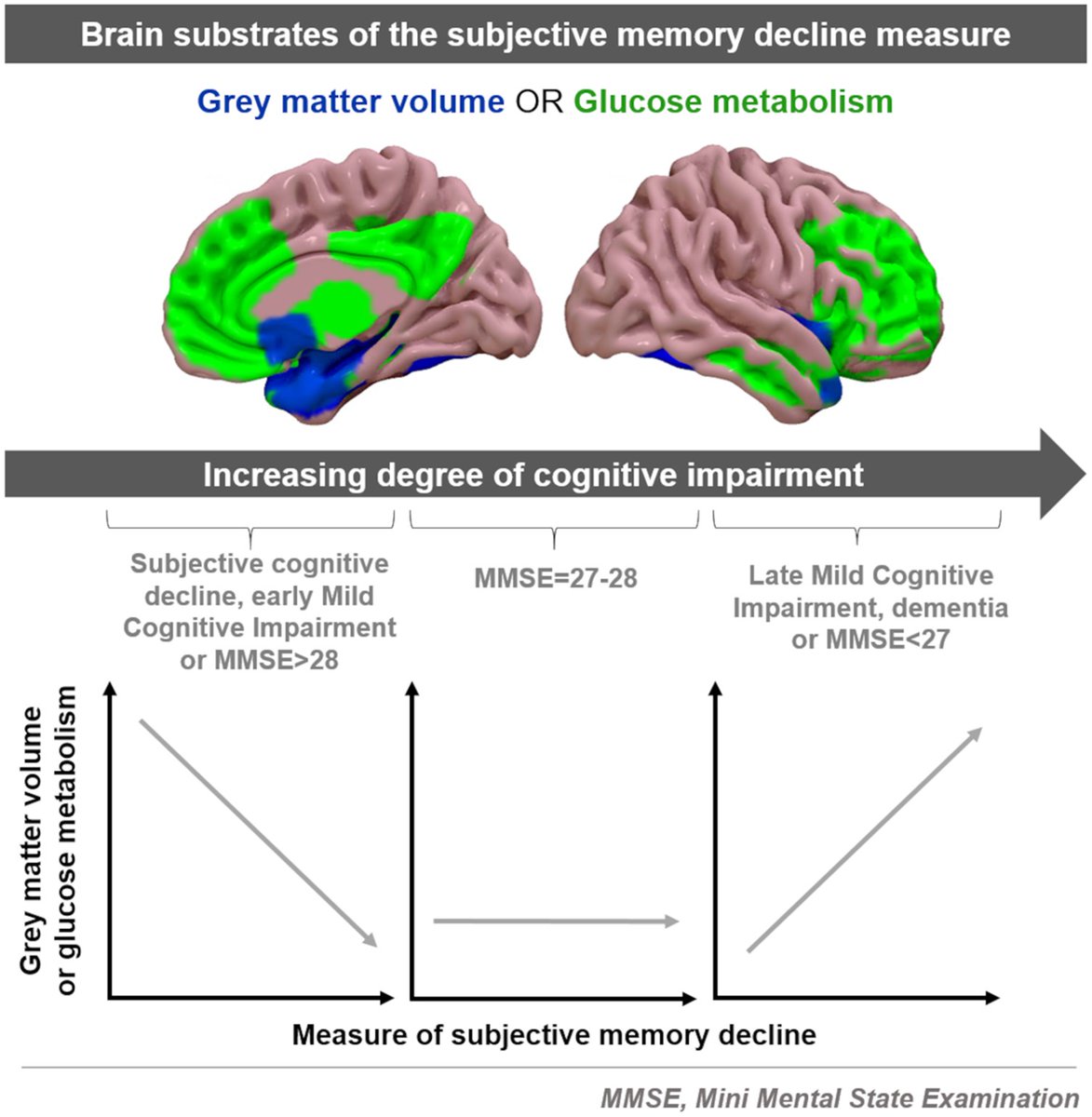 @BrainComms tweet media