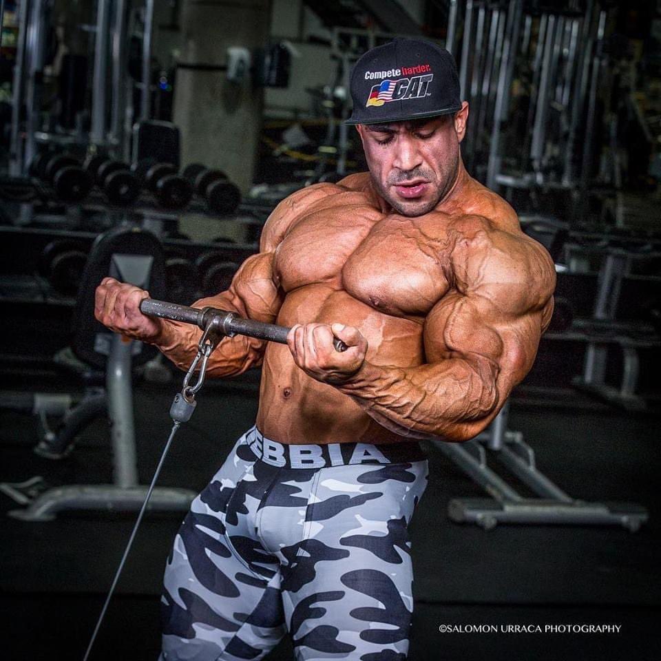 джей катлер на массе и на сушке. хельмут штребель бодибилдер. сушка культуристов. ахмад ашканани 2016. бодибилдер на сушке.