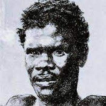 Professor Pierce tweet media