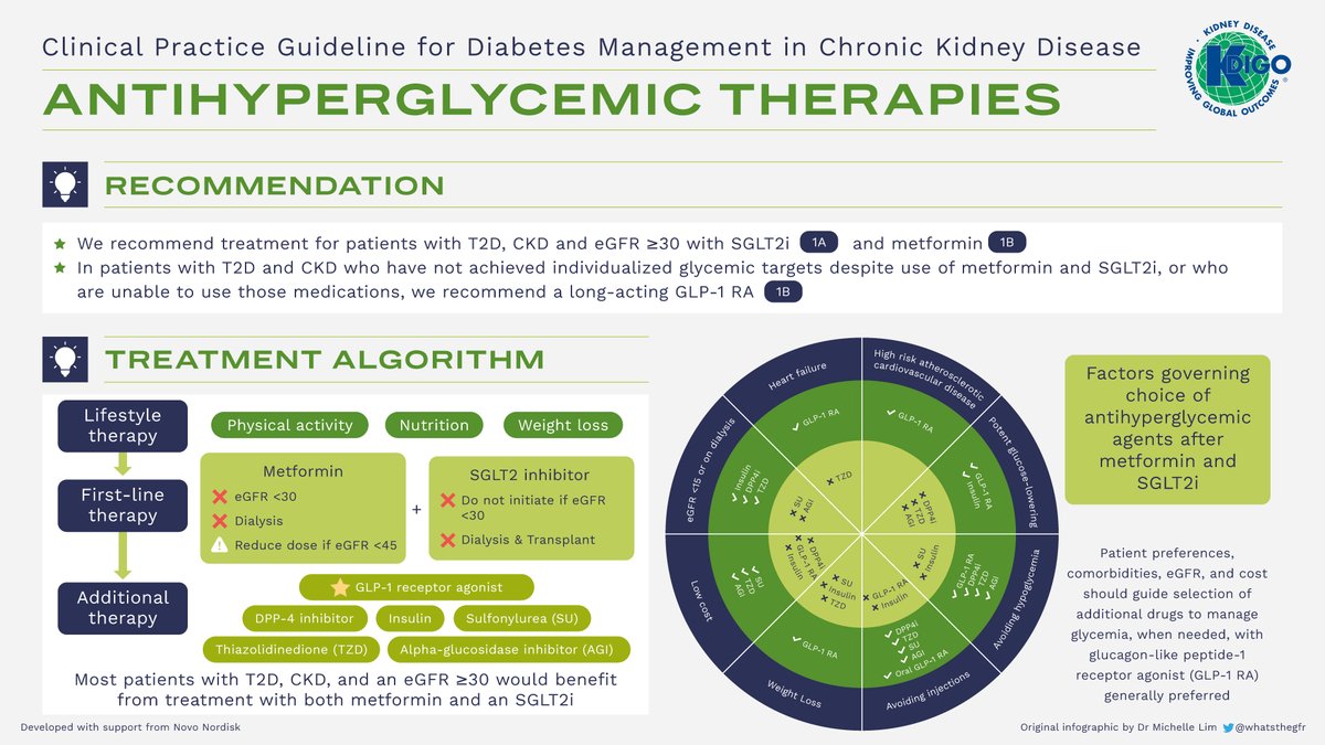 Check out the KDIGO Diabetes in CKD Guideline Infographics Set: bit.ly/KDIGODiabetesG….  

Many thanks to the creator of these infographics, Dr. Michelle Lim (@whatsthegfr), for her time, skill, and dedication to KDIGO.