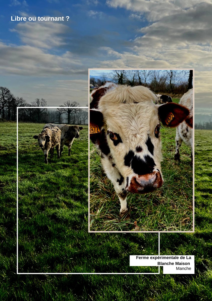 Cap Protéines tweet media