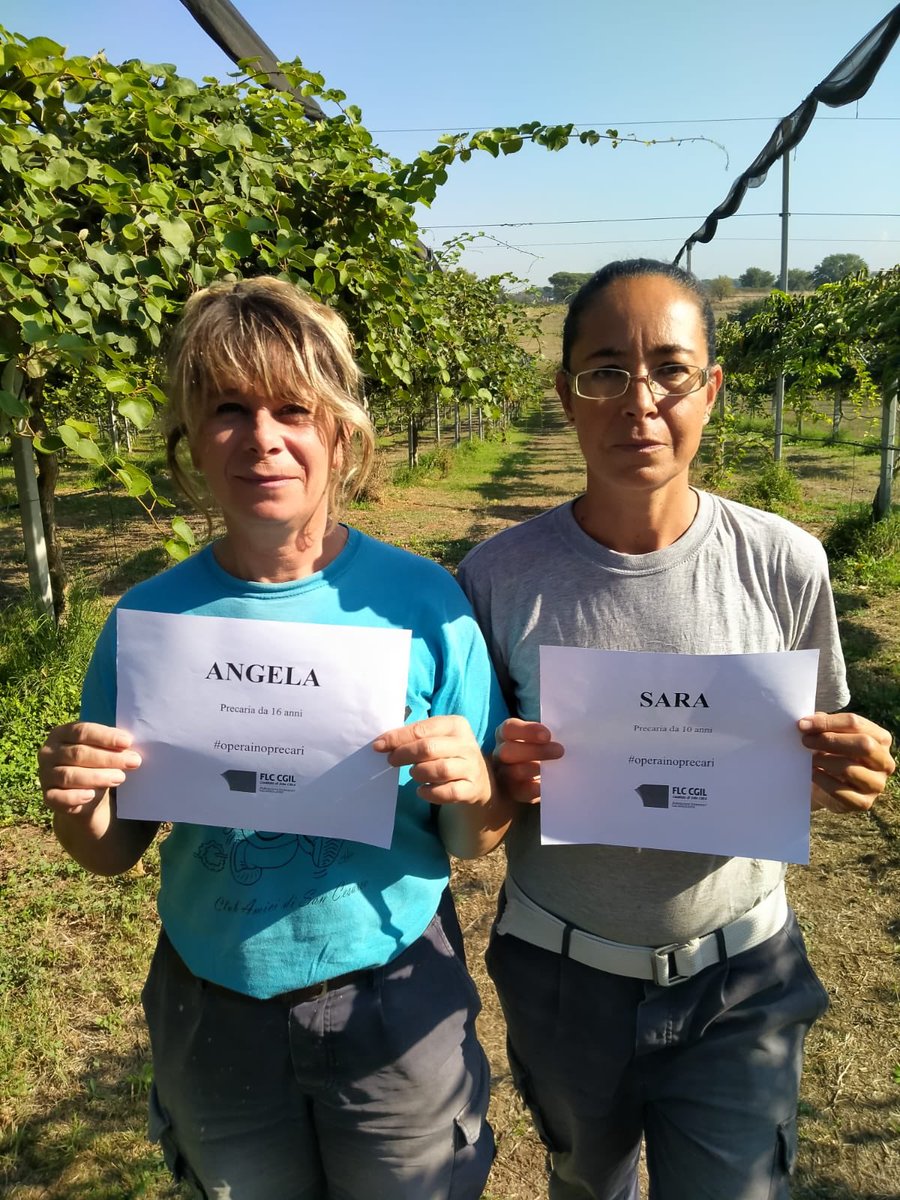 vantolam80's tweet photo. Nel #WomenInScienceDay ricordiamo al Ministro #Patuanelli @Mipaaf_ che tra gli #operaiagricoli #Crea ci sono anche donne che con il loro lavoro consentono di fare #Ricerca in #Agricoltura,ma sono precarie da anni.I soldi ci sono, ma nulla si muove❗️#operainoprecari @AlexMelicchio https://t.co/BYMA1iXIxT