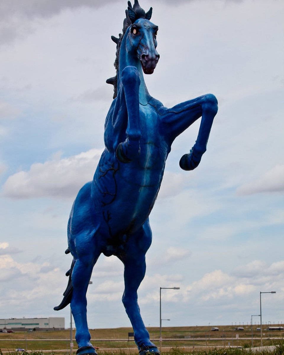 DENAirport's tweet photo. Oh, I haven’t aged a day, you neigh? 😉 

It may be my 45th birthday (in horse years) today, but I would agree – I still look like a spring foal. 

Because the people want to know, here are my top tips for staying young ⬇ #HappyBirthdayMustang https://t.co/XuRZsp51OE