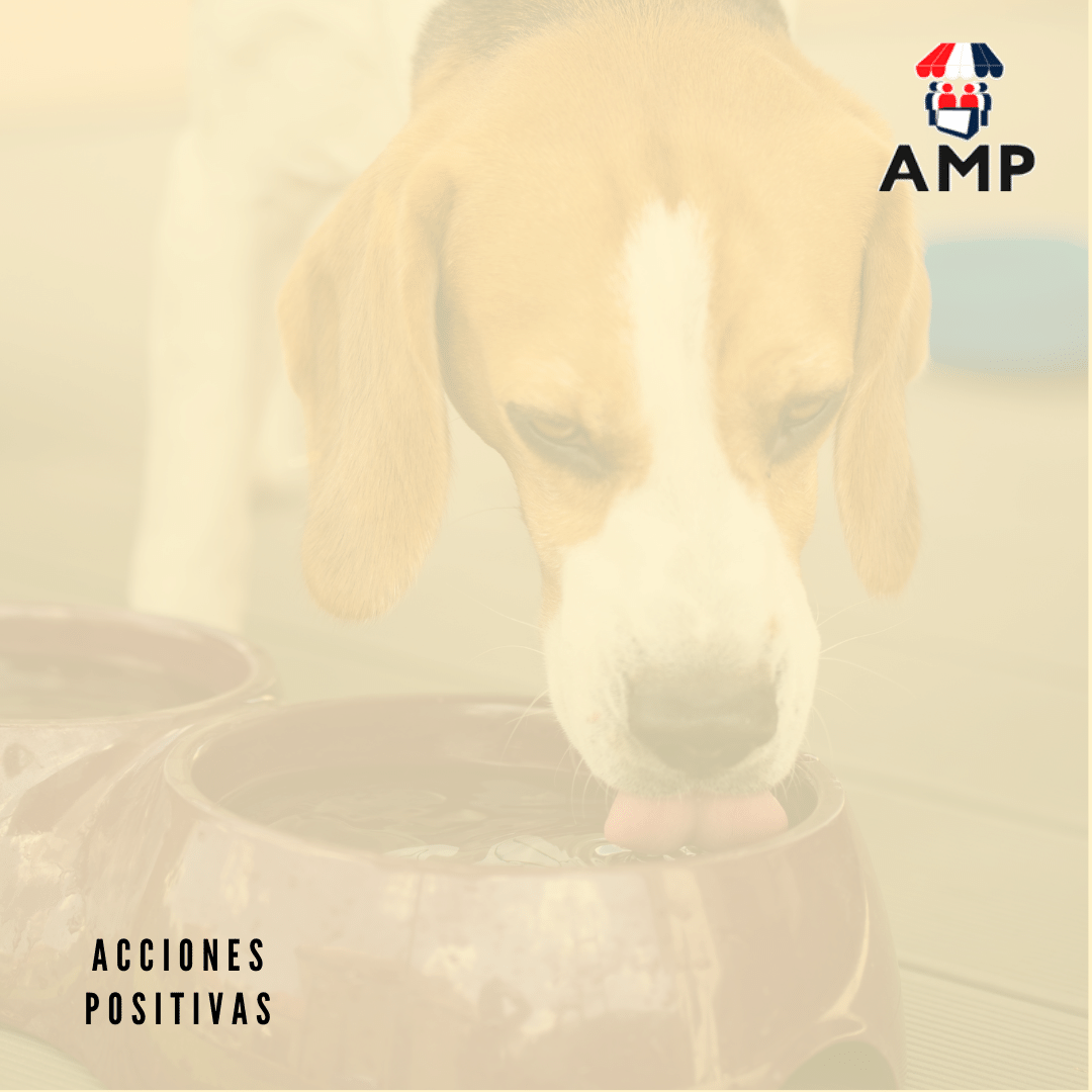 AlmacenerosPY's tweet photo. ¿Vivís en una zona donde muchos de tus clientes salen a pasear a sus perros? Podés colocar un soporte afuera donde puedan atar las correas de sus mascotas, además de poner recipientes con agua. #TipsAMP #AccionesPositivas #AlmacenerosDelParaguay https://t.co/KA00G0m1pK
