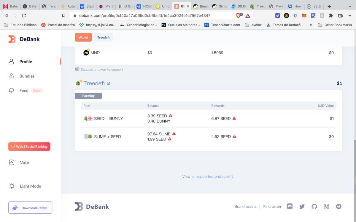 EdmurGouveia's tweet photo. @Dra_CrisSimoes @treedefi @PancakeBunnyFin insn`t appears lp tokens at Tree defi app https://t.co/QlQABartxX