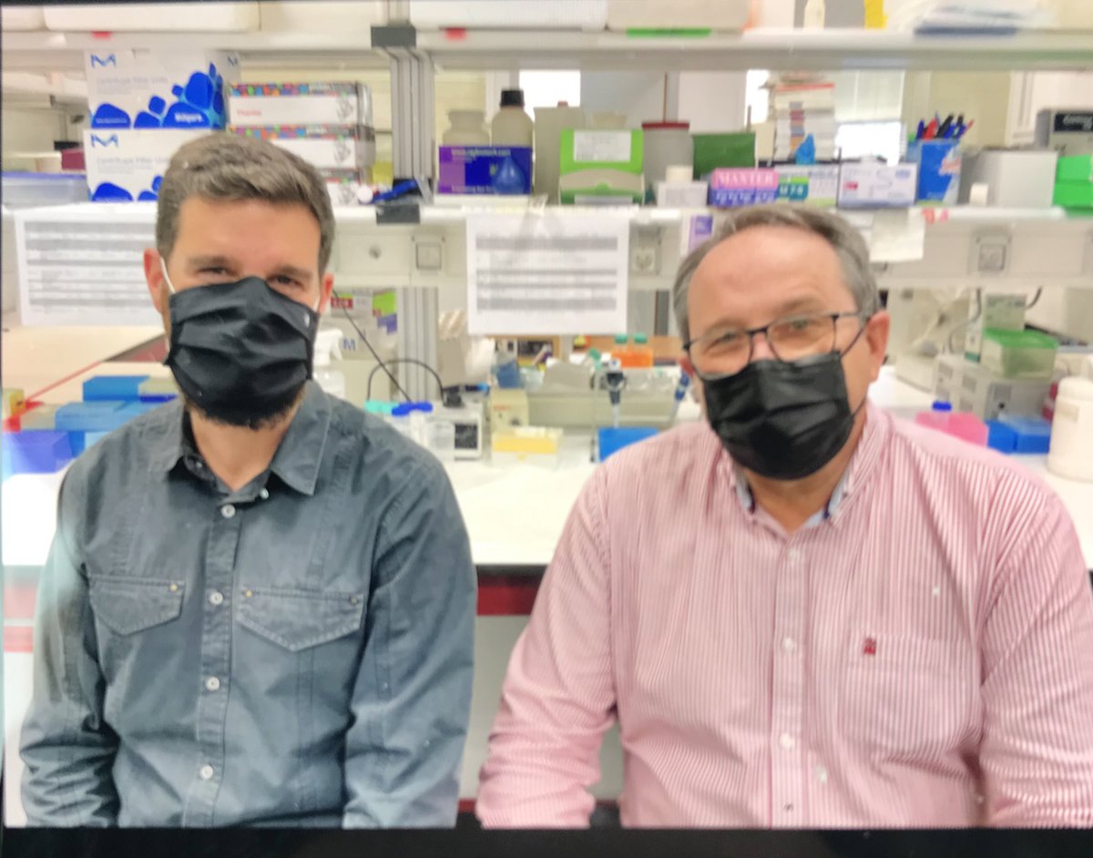 FARMAVASM tweet media