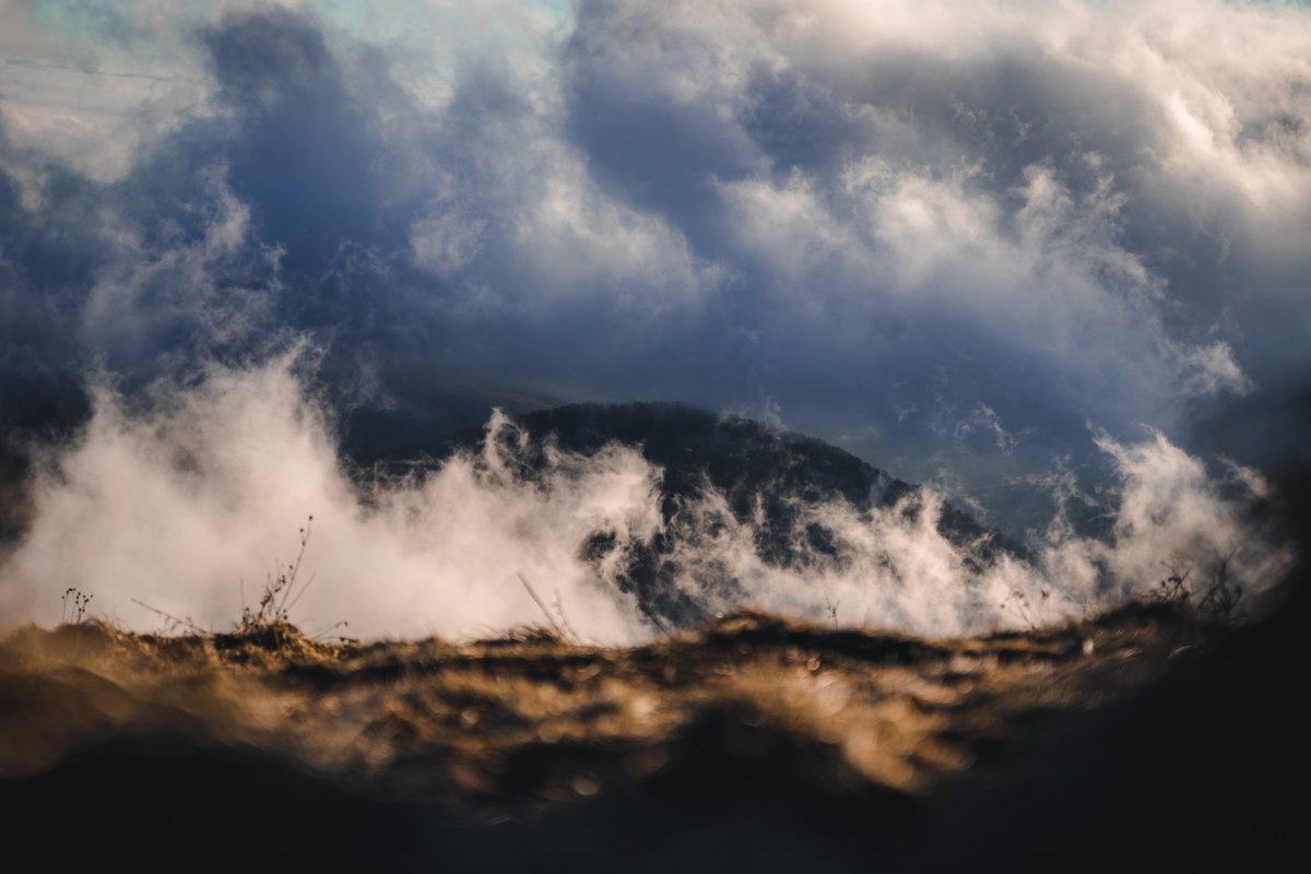 htamasfoto's tweet photo. @kristophershinn Gret! I'm looking to connect with more photographers 😊 https://t.co/8ABtdJexo6