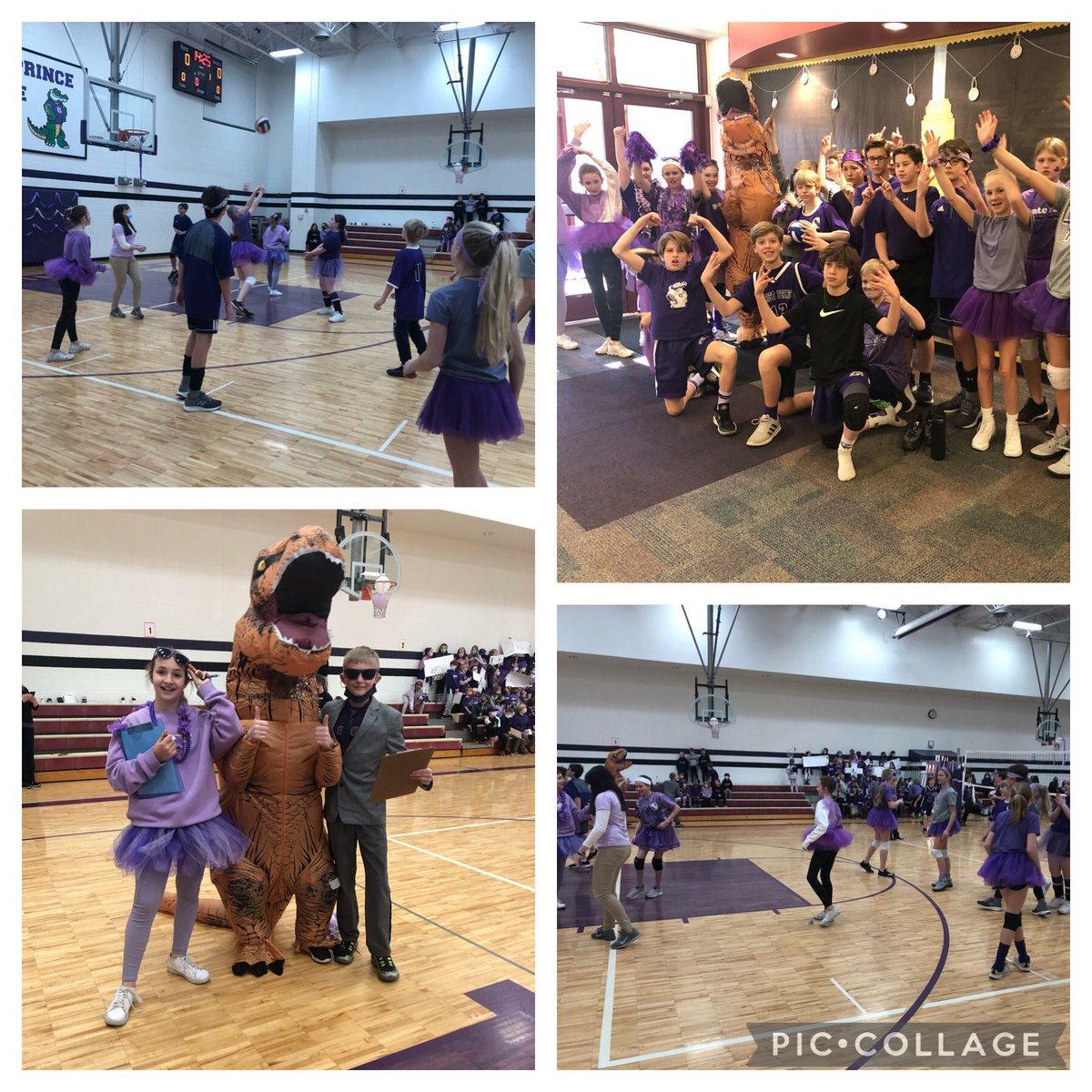 BenoistCPOP's tweet photo. Special day for 6th grade playing volleyball! They were amazing!!!@CPOPGators https://t.co/k4440URXa7