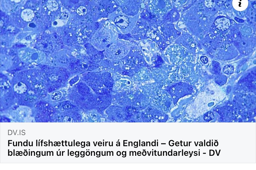 hljómar bara eins og hver önnur mánaðarmót hjá mér