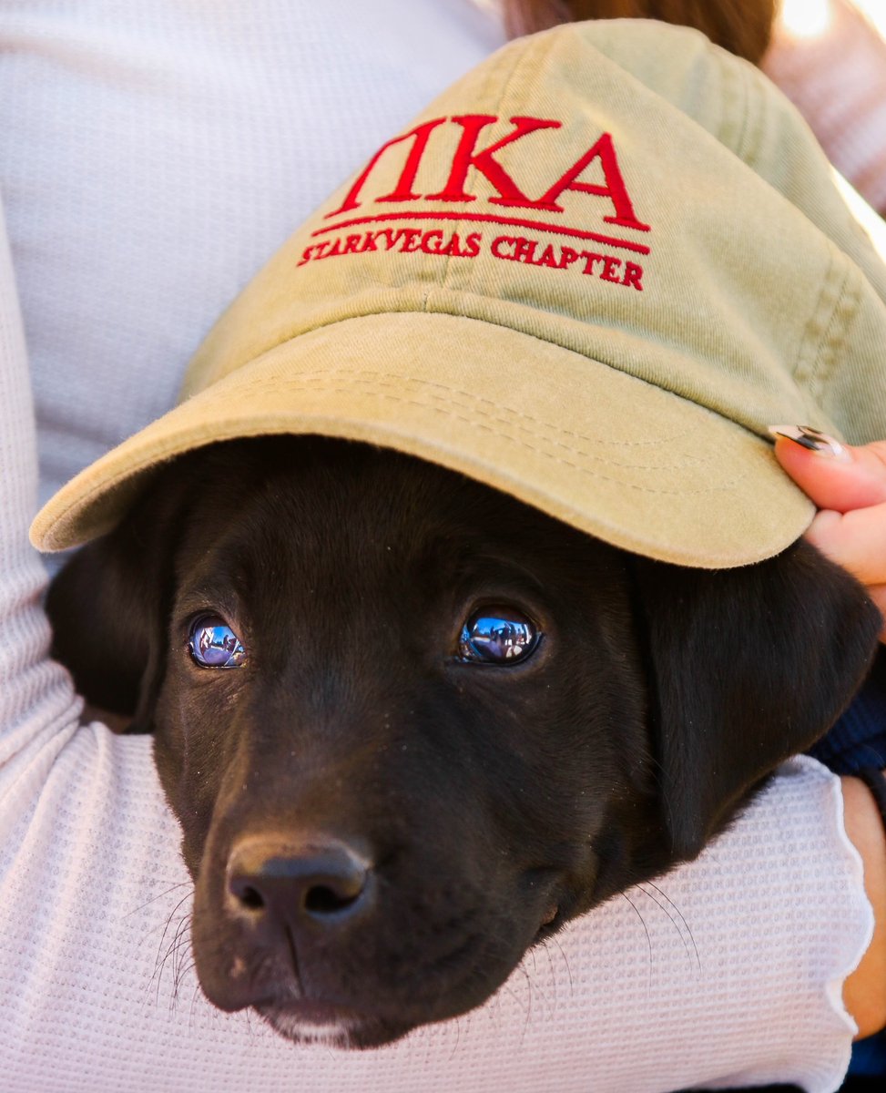 Pi Kappa Alpha tweet media