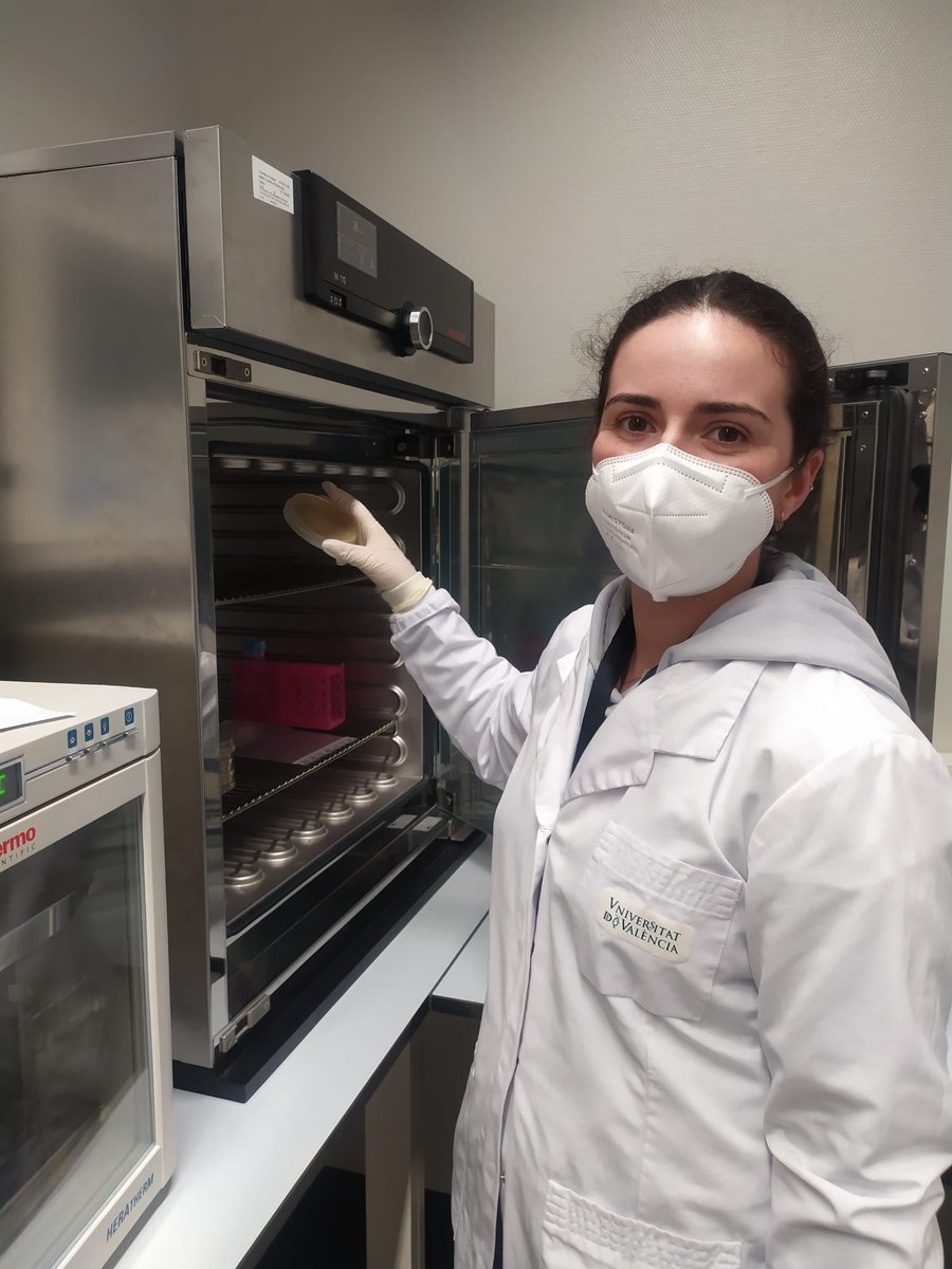 VLC Phage Hunters tweet media