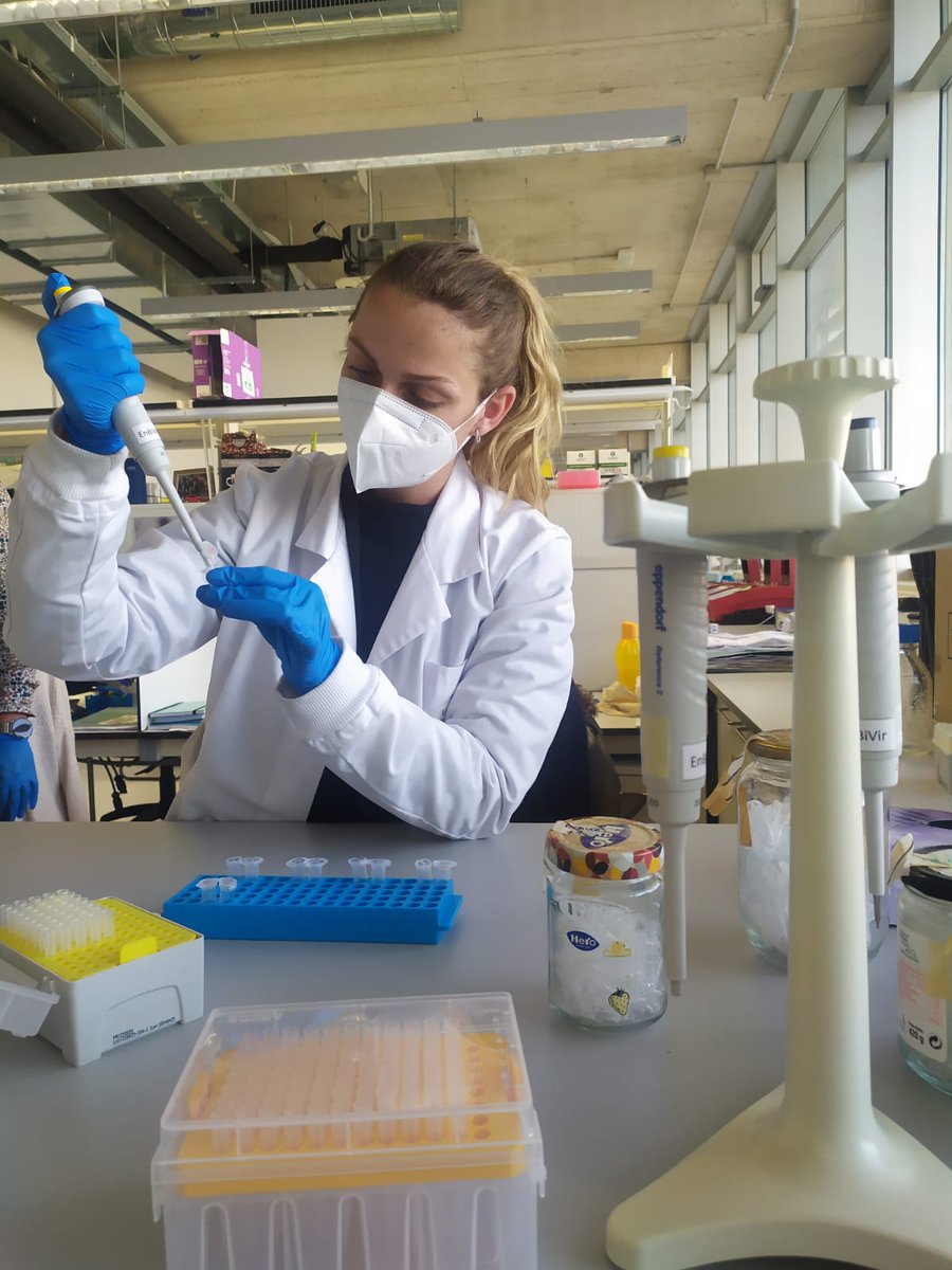 VLC Phage Hunters tweet media