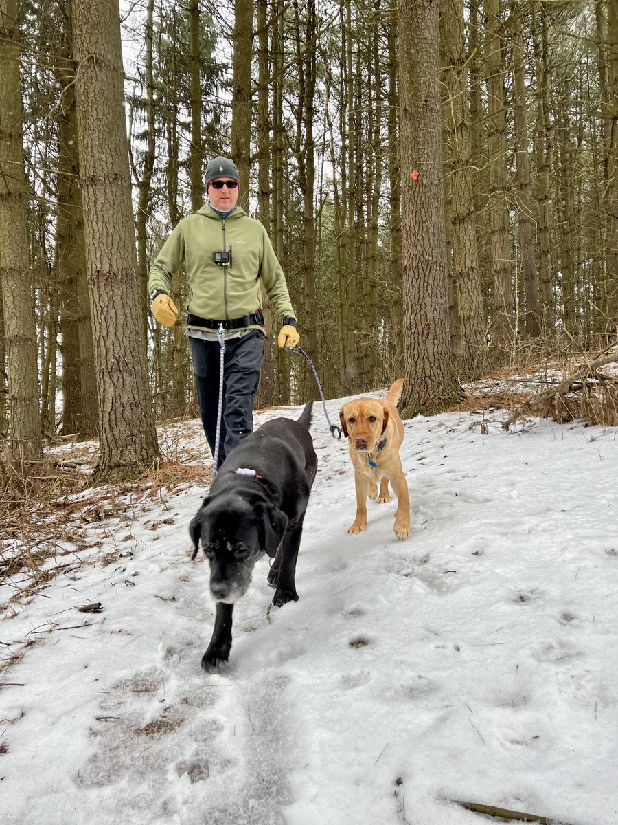 FitLabDeepCreek's tweet photo. #FridayFit Tip from #FitLabPGH #podcast (link below): #ComplainLess #MoveMore - if you want to make #movement a lifestyle, try focusing on the positive things about your movement practice!
#JustMove #MoveMore #pgh #pghdog
https://t.co/5GqKcC5Sog https://t.co/XOJIEnNtMO