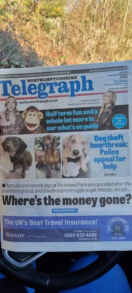 beautys_legacy's tweet photo. The girls made the Telegraph today. Please keep sharing and searching for #autistic support dog Nancy and her sisters. 3 #Dachshund females Stolen from their home 06/02/22 #irchester3  #findthemforernie https://t.co/owwSDUtgZR