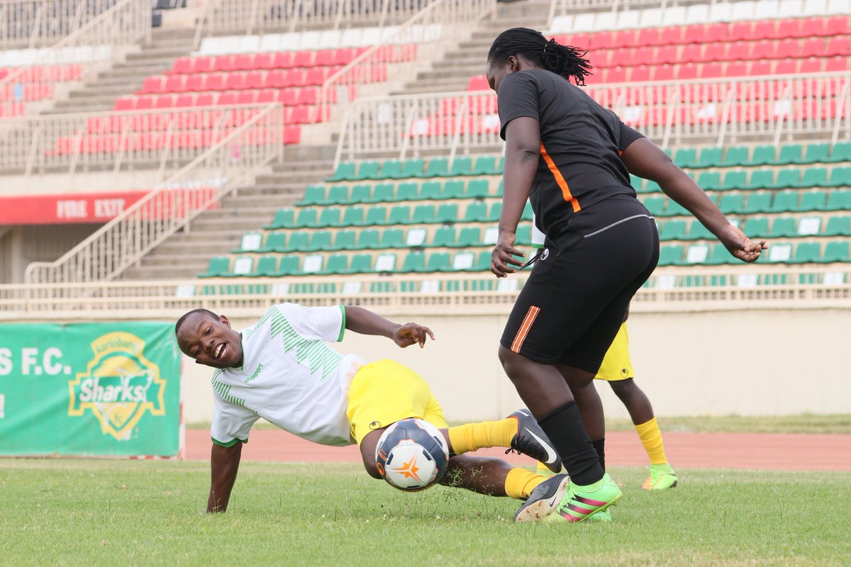 k_sharksfc's tweet photo. Warm up session ahead of our battle.

⏭️ @kenyapolicefc 🆚 K-Sharks
📺 https://t.co/nDipB0aXRJ

#WeAreSharks #BetwaySharks https://t.co/wAjGlnBQQN