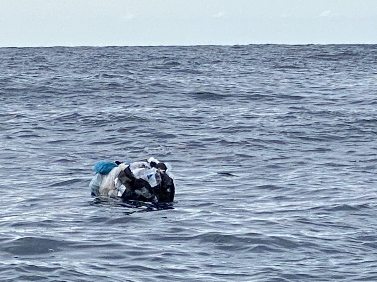 PREVITALIA's tweet photo. @laura_madrueno hola Laura. Hace unos días me encontré esto flotando en el Cantábrico a 10 millas. Soy submarinista y no uso twitter (solo de empresa. Lo hacen algunos barcos por no acercase a la costa. Grandes bolsas de basura atadas y a la deriva. Gracias por difundirlo. https://t.co/nIuMVUyl04
