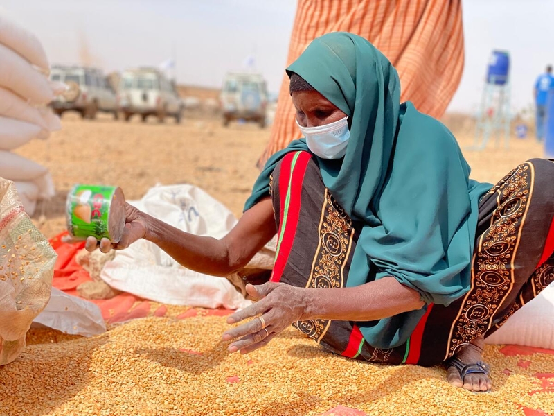 IGAD_CPAC's tweet photo. ℹ️ #FSNWG Special Report: Prior to the current drought across the #HornofAfrica, the #foodsecurity and #nutritional situation in the region was already precarious, leaving households extremely vulnerable to #foodinsecurity with little coping capacity to manage additional shocks https://t.co/I1IqZ9J3tx