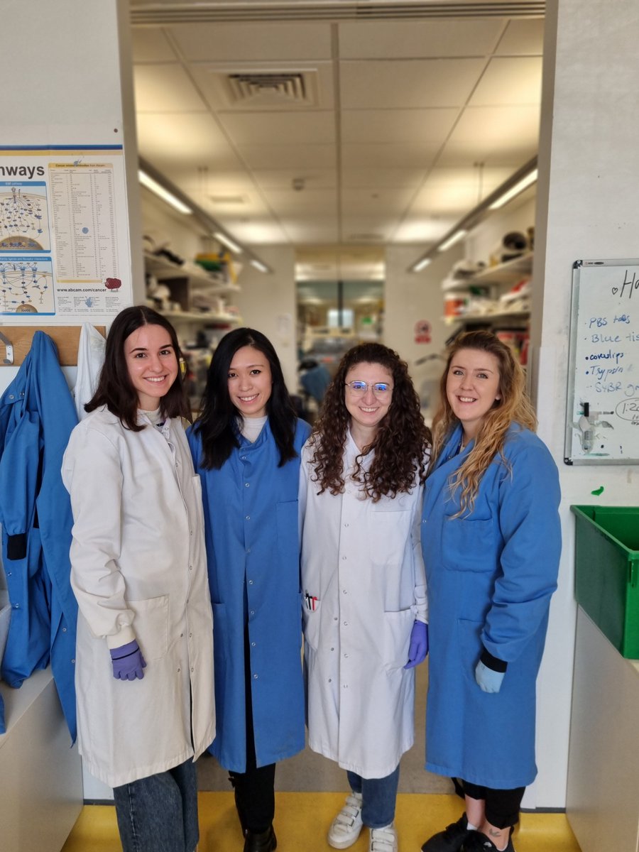 Dr Hannah Bolland (@onco_hannah) on Twitter photo Ladies of the Hammond Lab! Grateful I get to spend every day doing super cool science with these smart, driven and kind women. @Hammond_Lab <a href="/tiffany_s_ma/">Tiffany Ma</a> <a href="/CaglaOncology/">Çağla Tosun</a> <a href="/halaestephan/">Hala Estephan</a> @The_OIRO #WomenInScience #WomeninScienceDay Ladies of the Hammond Lab! Grateful I get to spend every day doing super cool science with these smart, driven and kind women. @Hammond_Lab <a href="/tiffany_s_ma/">Tiffany Ma</a> <a href="/CaglaOncology/">Çağla Tosun</a> <a href="/halaestephan/">Hala Estephan</a> @The_OIRO #WomenInScience #WomeninScienceDay