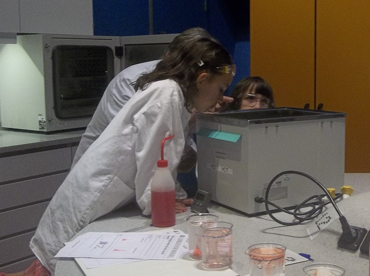 MAEComunica's tweet photo. ¡Feliz día #mujerescientificas y #niñas interesadas en las #Ciencias! Es bueno tener #referentes desde la niñez, para promover más #vocacionescientíficas. Por eso he apoyado el #efectoSTEM en varios países, por más de 25 años. Ahora tengo en casa una pequeña #STEM #TalentGirl👩‍🔬🙌 https://t.co/MDv90oxY8V