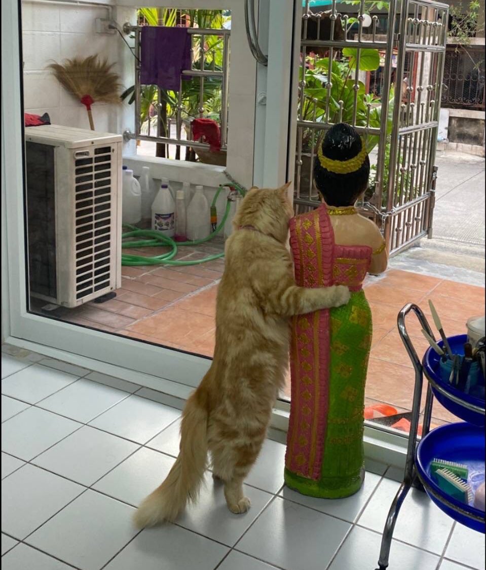 ควงสาวควัฟ