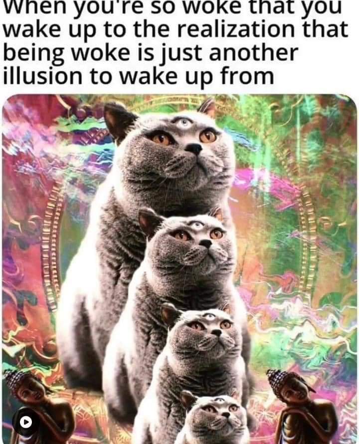 HatamYuval's tweet photo. @jordanbpeterson Message from the favorite animal of the "wokes" https://t.co/kgh0JXv6j0