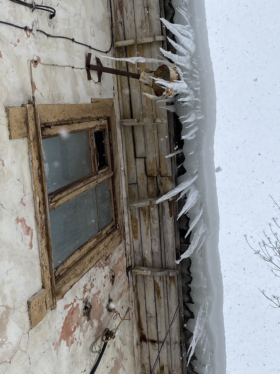 Ирэн tweet media