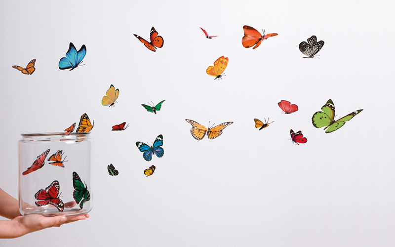 The price of freedom - Has local government commercialisation succeeded?
A wave of local authority commercialism has been hampered by the financial squeeze that unleashed it, finds Kerry Lorimer.
publicfinance.co.uk/feature/2022/0…