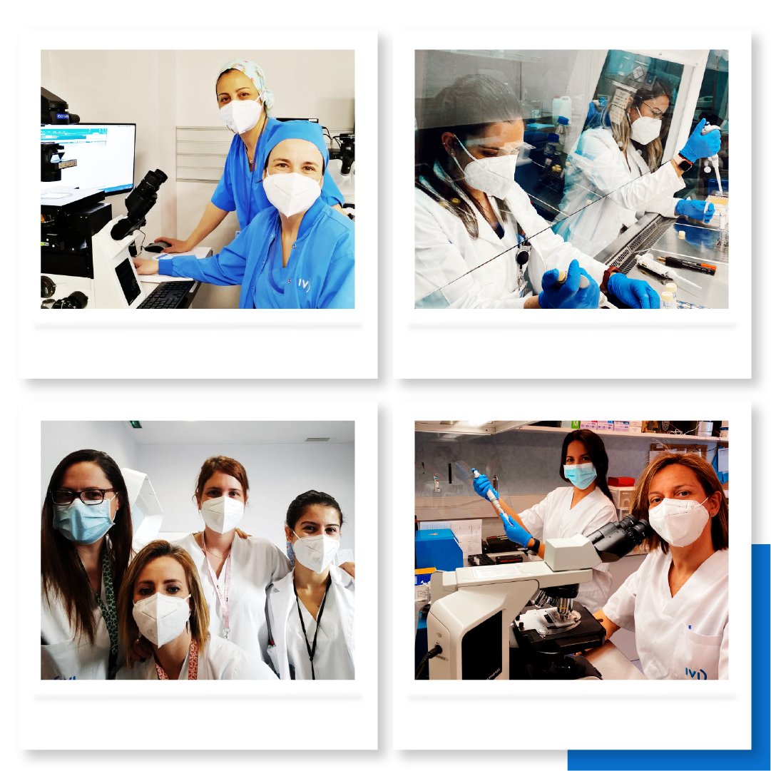 La investigación y la igualdad son dos pilares de #IVI. En el #diamujeryninaciencia queremos daros las gracias, compañeras, por elegir ciencia y vida. Por soñar de niñas con un laboratorio y, de mayores, convertir un sueño en vuestra pasión.
#mujeryciencia