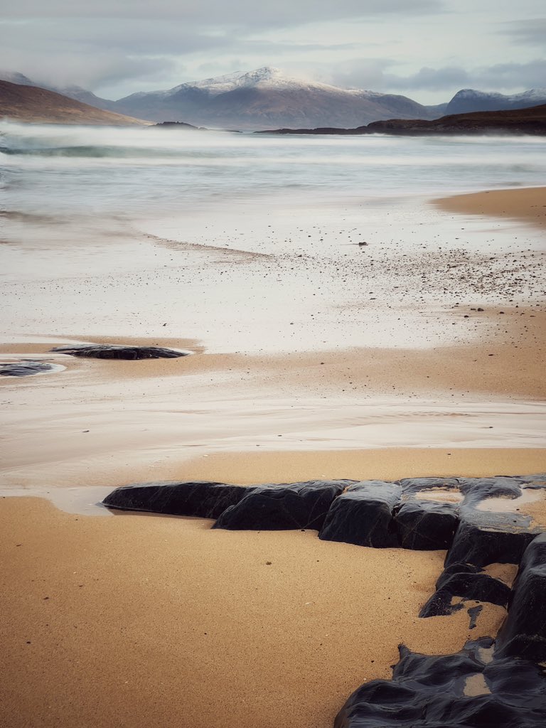 mark littlejohn tweet media