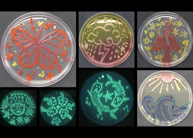 Jody Winter tweet media