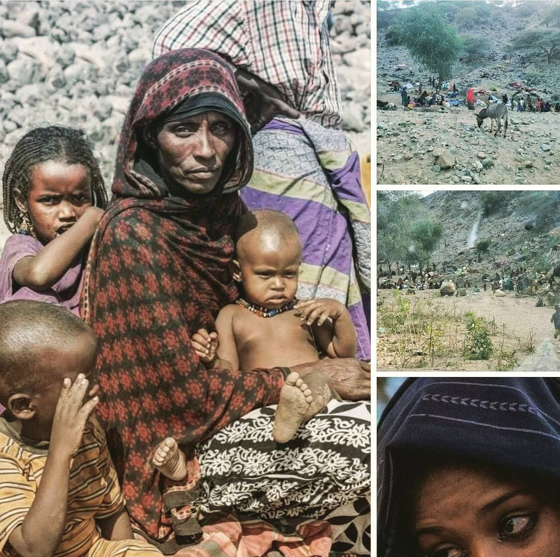 dankaliy's tweet photo. TPLF forces Destroying villages, towns and City's of Barahle, Konnaba,  killing innocent community members and displacing Communities in Norther Zone of Afar region. But the Federal Gov. And the International community takes silence. 
@UNGeneva https://t.co/dD4mAejBWZ https://t.co/yZPoW8faff