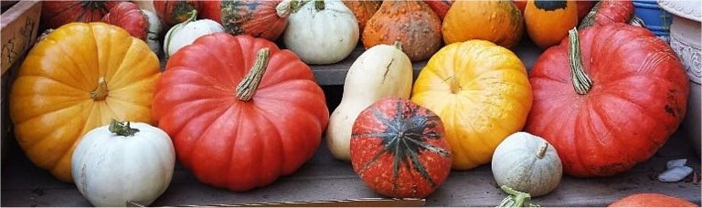 #ff A few new people I followed this week...
@JonHerreraCa <a href="/NawrasNofel/">Nofel Nawras</a> @JamesPhillipsR1 <a href="/darkmusepress/">Robin Trent</a> @greasywriting <a href="/HFwritesCrime/">Harry Fisher - Crime stories set in Leith</a> <a href="/IAmNicoleMasina/">Nicole 🌙</a> <a href="/ardeearcreates/">ardeear</a> @JessBeats77 @IamFree_again @DeerNelle <a href="/EmmaLouMacca/">Emma Mc</a> <a href="/DaniCara333/">Dani Cara</a> <a href="/DMFoleyauthor/">D. M. Foley</a> <a href="/JLFeuerstack/">J.L. Feuerstack</a> <a href="/KelseyO40759233/">Kelsey Ortiz Author</a>