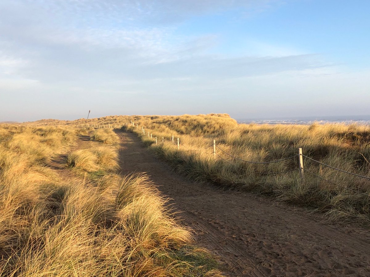 Winterton Beach Car Park tweet media