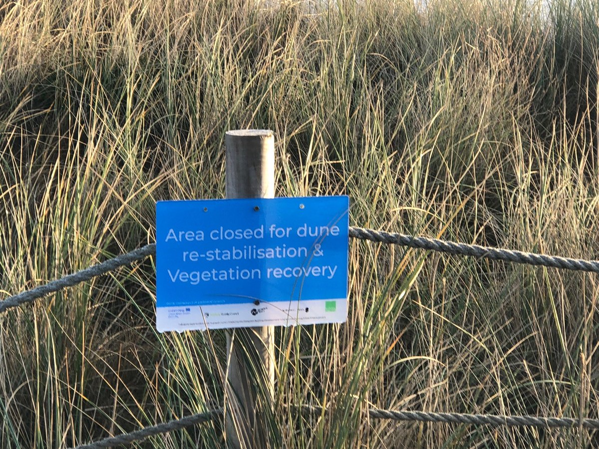Winterton Beach Car Park tweet media